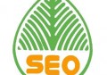 百度seo网站优化是什么？seo优化中百度外链怎么做？